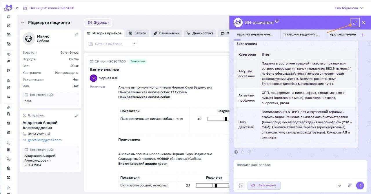 Резюме медкарты